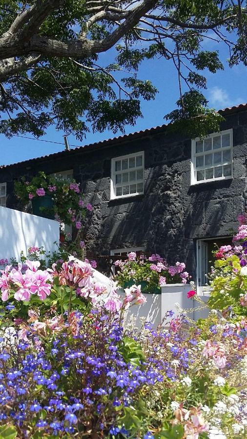 Casa Do Ze - Al Pensionat Manadas Exteriör bild